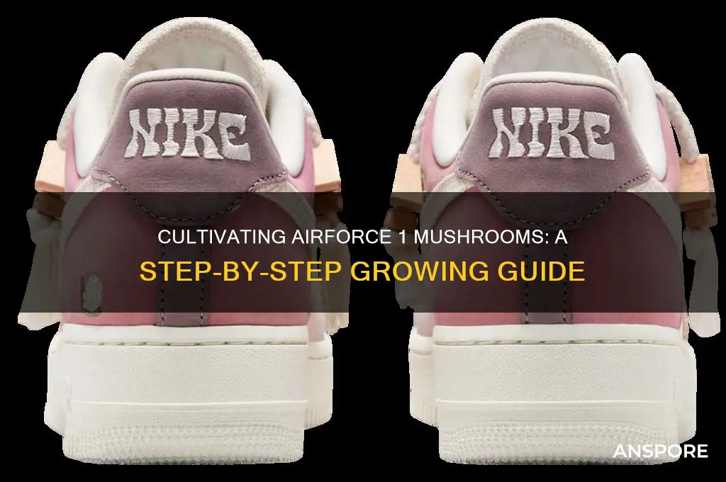 how to grow airforce 1 mushrooms