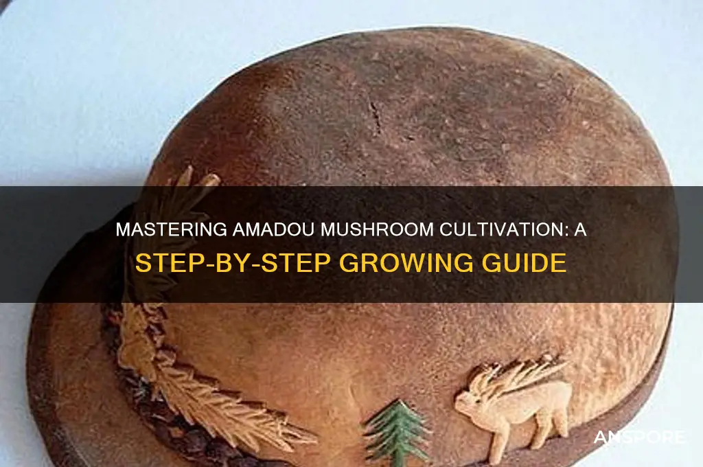 how to grow amadou mushroom