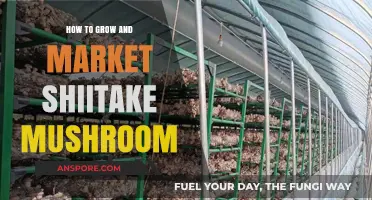 Mastering Shiitake Cultivation: Growing and Marketing Tips for Success