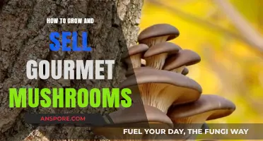 Cultivating and Profiting from Gourmet Mushrooms: A Step-by-Step Guide