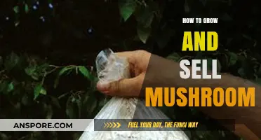 Cultivating Profits: A Beginner's Guide to Growing and Selling Mushrooms