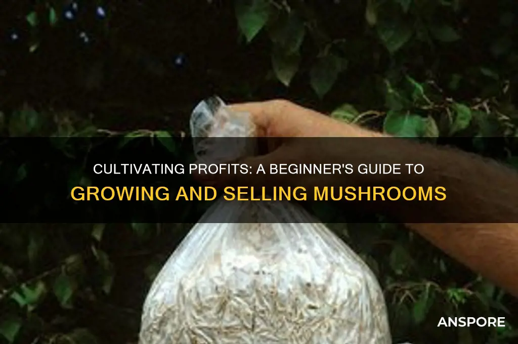 how to grow and sell mushrooms