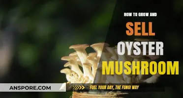 Mastering Oyster Mushroom Cultivation: From Growing to Profitable Selling