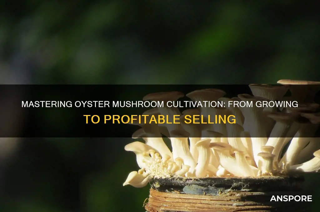 how to grow and sell oyster mushrooms