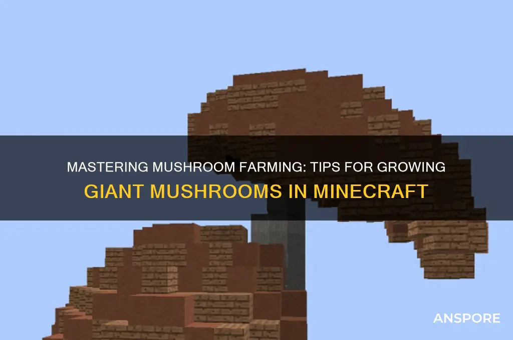 how to grow big mushrooms miencraft