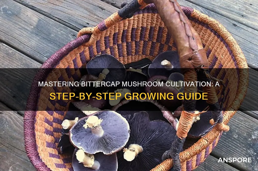 how to grow bittercap mushrooms