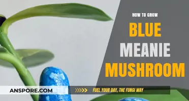 Cultivating Blue Meanie Mushrooms: A Comprehensive Growing Guide