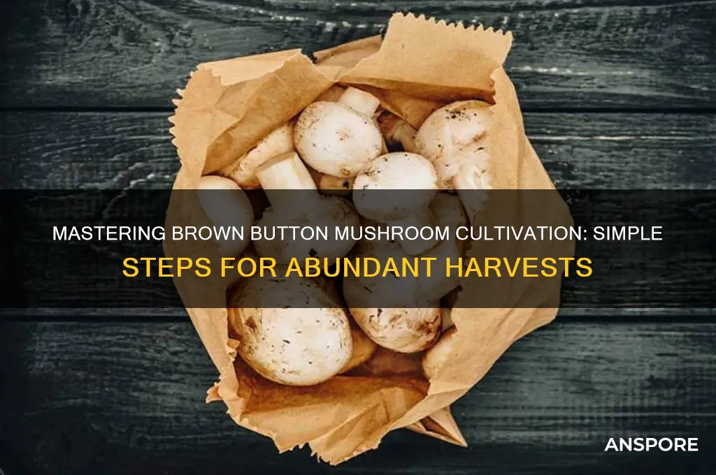 how to grow brown button mushrooms