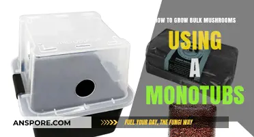 Mastering Monotub Mushroom Cultivation: A Guide to Bulk Harvests