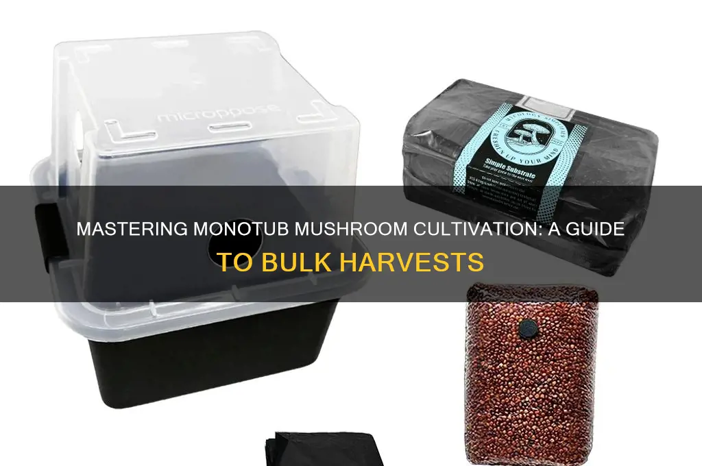 how to grow bulk mushrooms using a monotubs