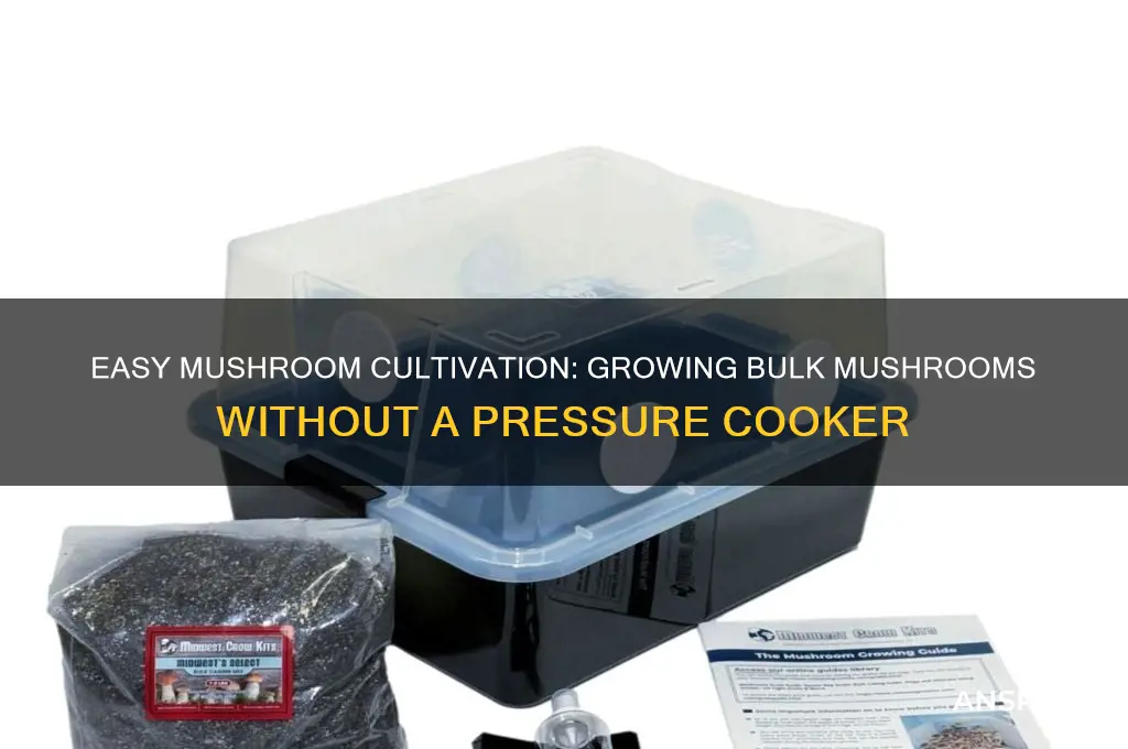 how to grow bulk mushrooms without a pressure cooker
