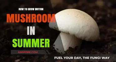 Summer Mushroom Farming: A Guide to Growing Button Mushrooms