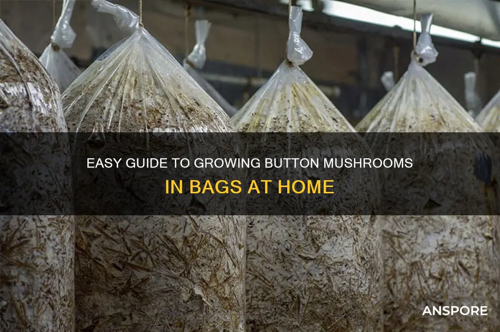 how to grow button mushrooms in bags