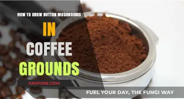 Grow Button Mushrooms Easily: Coffee Grounds Cultivation Guide