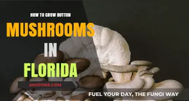 Growing Button Mushrooms in Florida: A Step-by-Step Guide