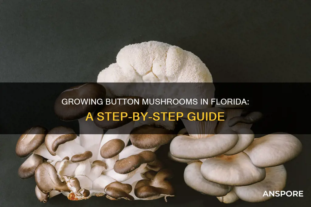 how to grow button mushrooms in florida
