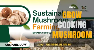 Mastering Mushroom Cultivation: A Beginner's Guide to Growing Cooking Mushrooms