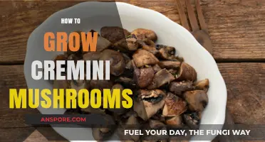 Mastering Cremini Mushroom Cultivation: Simple Steps for Abundant Harvests
