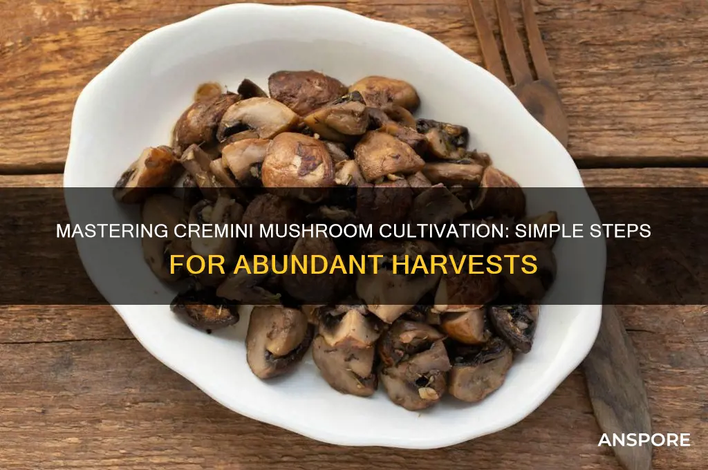 how to grow cremini mushrooms