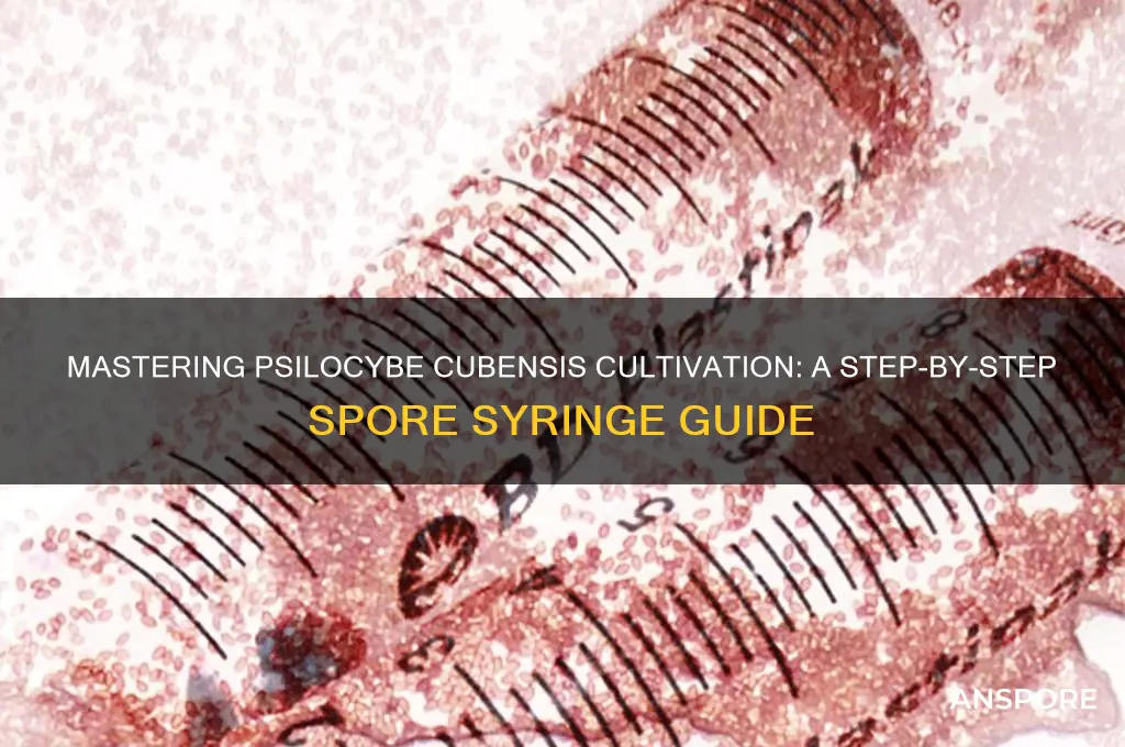 how to grow cubensis from spore syringe