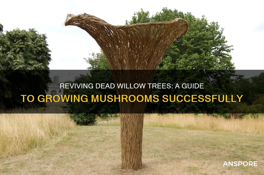 how to grow dead willow tree mushrooms