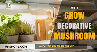 Cultivating Stunning Decorative Mushrooms: A Step-by-Step Growing Guide