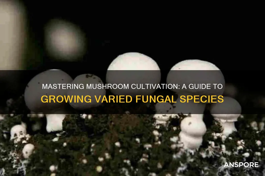how to grow different types of mushrooms