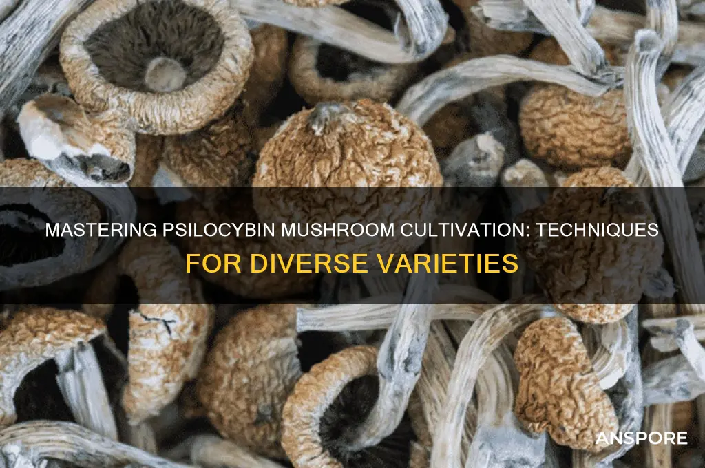 how to grow different types of psilocybin mushrooms