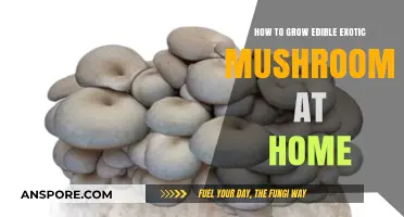 Cultivating Edible Exotic Mushrooms: A Beginner's Guide to Home Growing