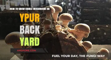 Grow Your Own Gourmet Mushrooms: Backyard Edible Cultivation Guide