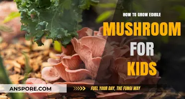 Fun Mushroom Growing Guide: Teach Kids to Cultivate Edible Fungi