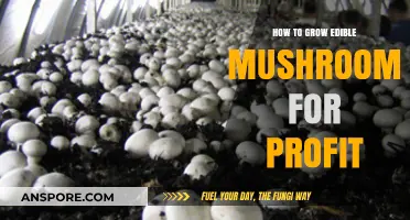 Profitable Mushroom Farming: A Guide to Growing Edible Mushrooms for Income