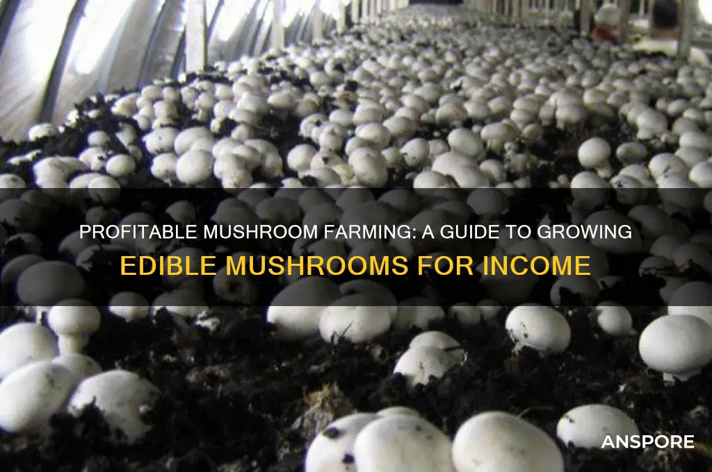 how to grow edible mushrooms for profit