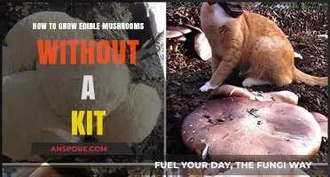Grow Your Own Edible Mushrooms: A Simple, Kit-Free Guide