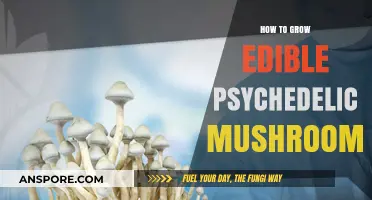 Cultivating Edible Psychedelic Mushrooms: A Comprehensive Growing Guide