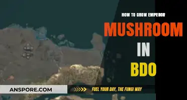 Mastering Emperor Mushroom Cultivation in BDO: A Step-by-Step Guide