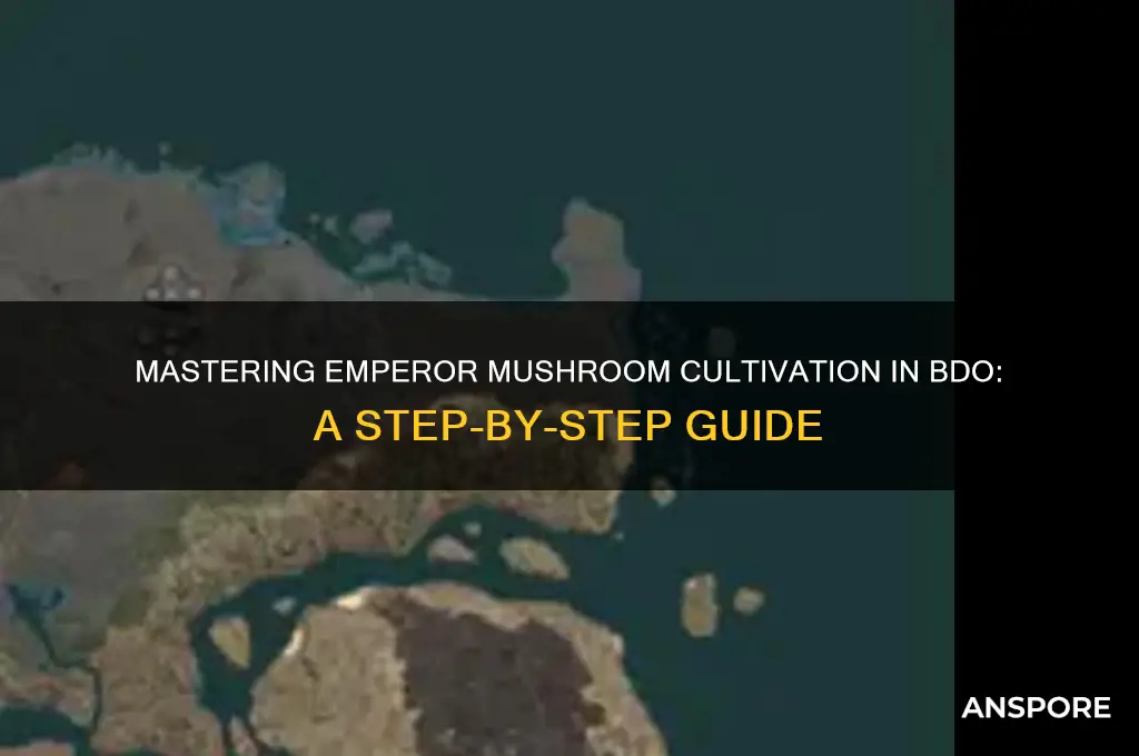 how to grow emperor mushroom in bdo
