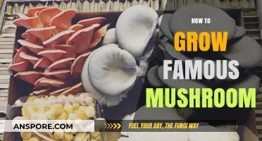 Mastering Mushroom Cultivation: Secrets to Growing Famous Varieties at Home