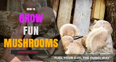 Cultivating Fun Mushrooms: A Beginner's Guide to Growing Unique Varieties