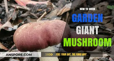 Mastering the Art of Growing Garden Giant Mushrooms at Home