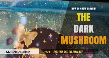 Cultivating Bioluminescent Mushrooms: A Guide to Growing Glow-in-the-Dark Fungi