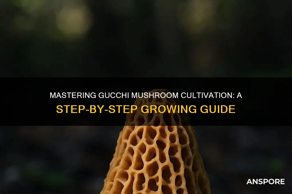 how to grow gucchi mushroom