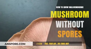 Cultivating Hallucinogenic Mushrooms: Alternative Methods Without Spores