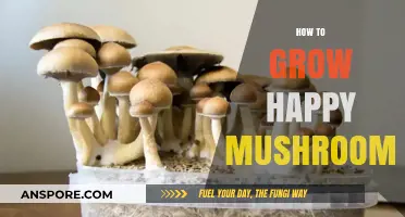 Cultivating Joy: A Guide to Growing Happy, Healthy Mushrooms