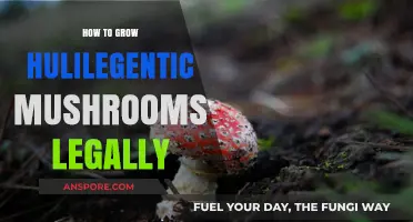Cultivating Psilocybin Mushrooms Legally: A Comprehensive Guide for Beginners