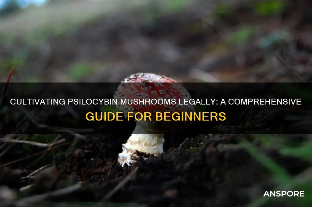 how to grow hulilegentic mushrooms legally