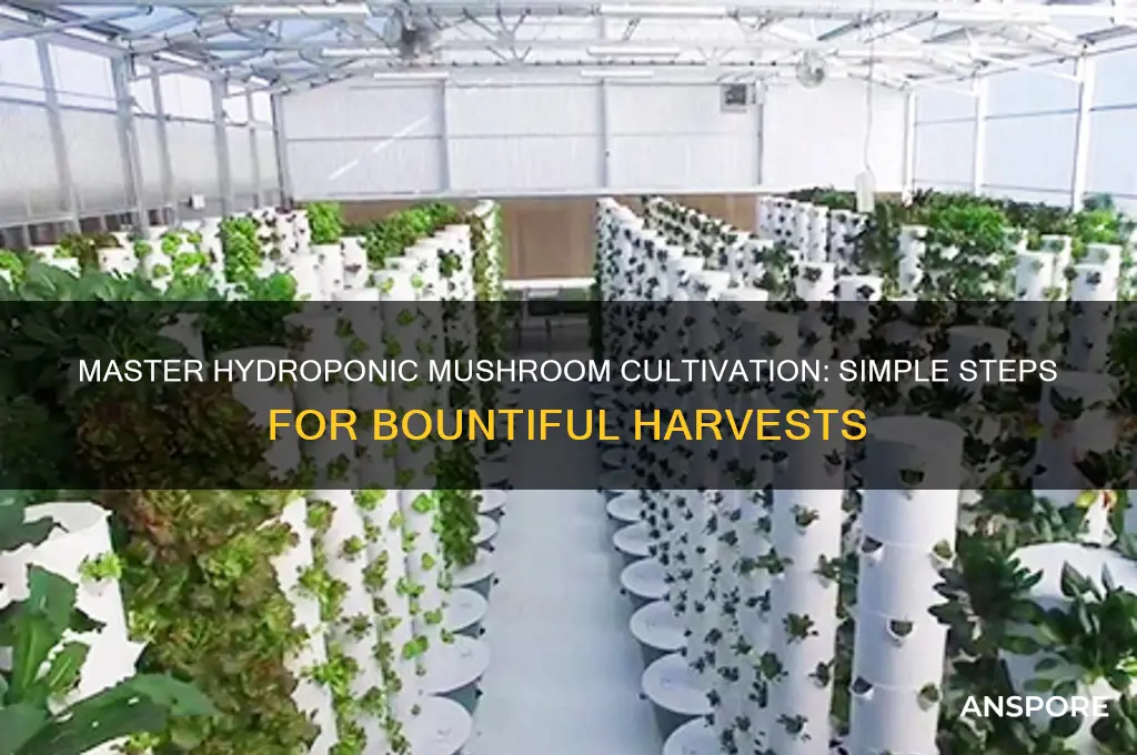 how to grow hydroponic mushrooms