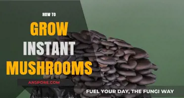 Quick Mushroom Growing: Instant Techniques for Abundant Harvests at Home
