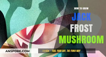 Mastering Jack Frost Mushroom Cultivation: A Comprehensive Growing Guide