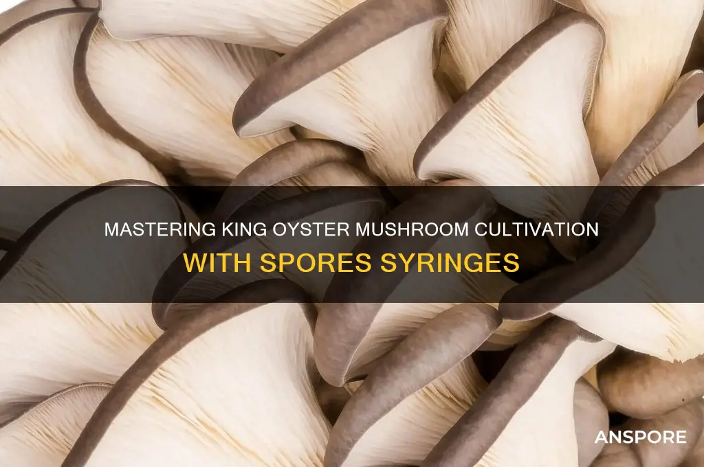 how to grow king oyster mushrooms from spoor syringes